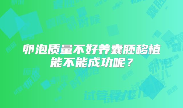 卵泡质量不好养囊胚移植能不能成功呢？