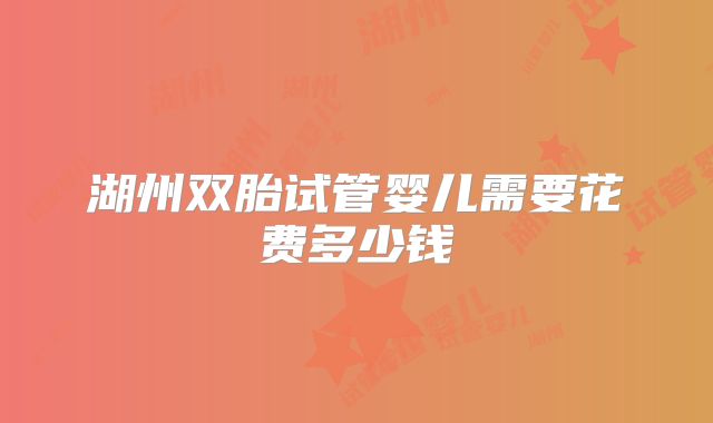 湖州双胎试管婴儿需要花费多少钱