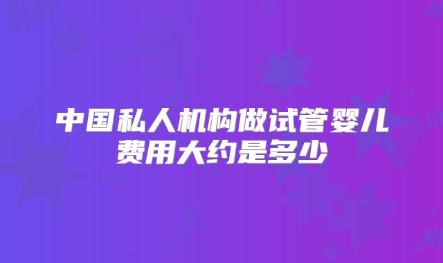中国私人机构做试管婴儿费用大约是多少