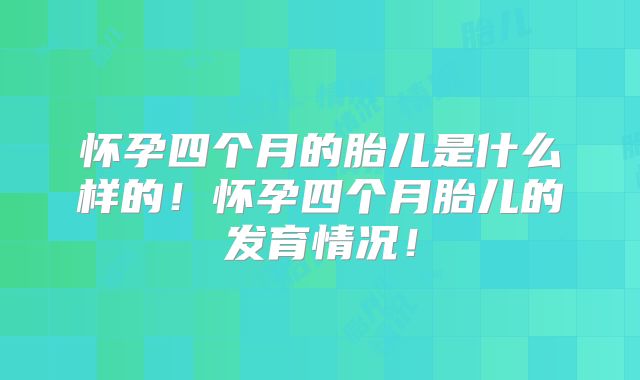 怀孕四个月的胎儿是什么样的！怀孕四个月胎儿的发育情况！