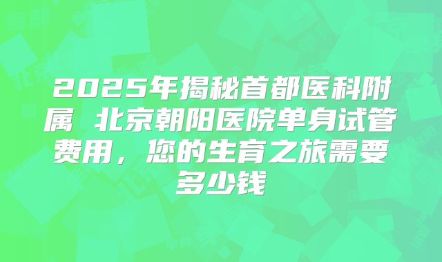 2025年揭秘首都医科附属 北京朝阳医院单身试管费用，您的生育之旅需要多少钱