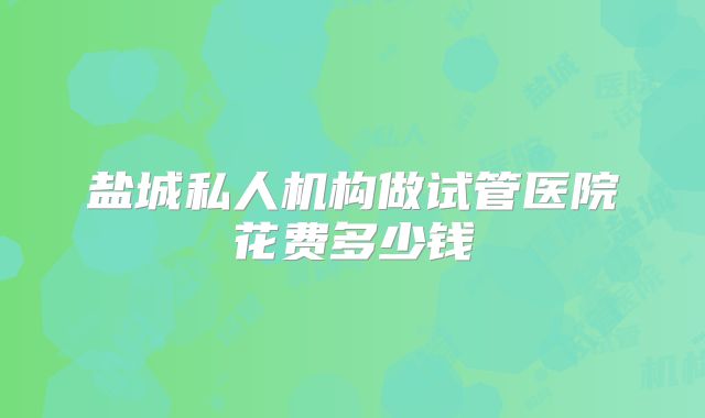 盐城私人机构做试管医院花费多少钱