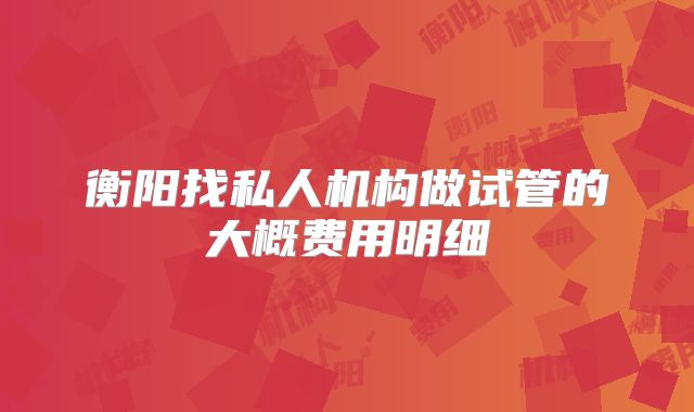 衡阳找私人机构做试管的大概费用明细