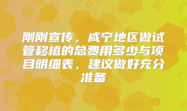 刚刚宣传，咸宁地区做试管移植的总费用多少与项目明细表，建议做好充分准备