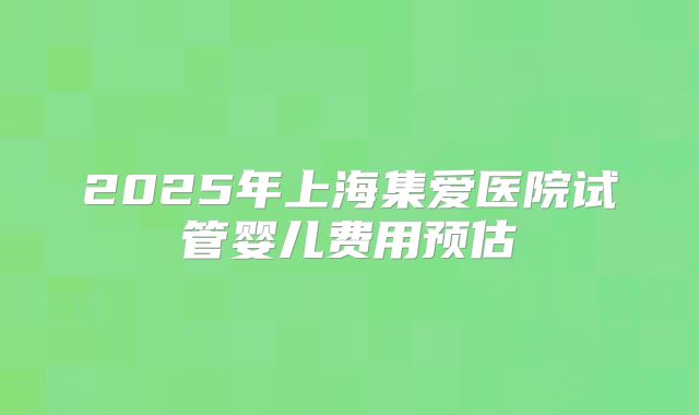2025年上海集爱医院试管婴儿费用预估