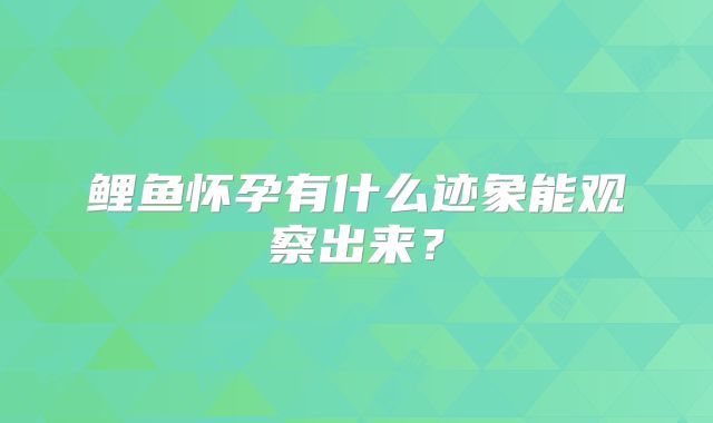 鲤鱼怀孕有什么迹象能观察出来?