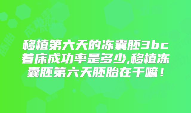 移植第六天的冻囊胚3bc着床成功率是多少,移植冻囊胚第六天胚胎在干嘛！