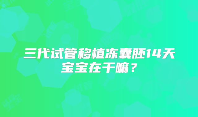 三代试管移植冻囊胚14天宝宝在干嘛?