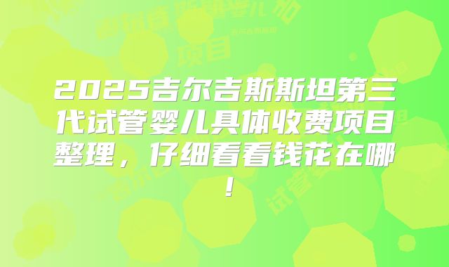 2025吉尔吉斯斯坦第三代试管婴儿具体收费项目整理，仔细看看钱花在哪！