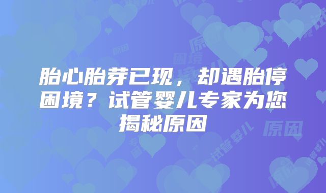 胎心胎芽已现，却遇胎停困境？试管婴儿专家为您揭秘原因