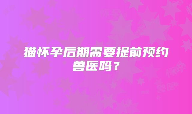 猫怀孕后期需要提前预约兽医吗?