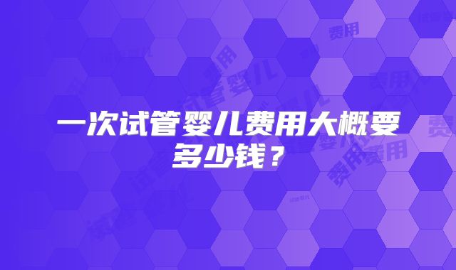 一次试管婴儿费用大概要多少钱？
