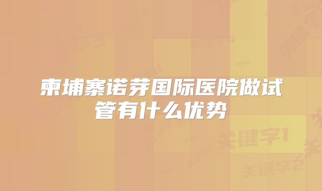 柬埔寨诺芽国际医院做试管有什么优势