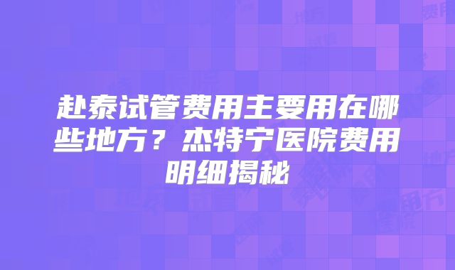赴泰试管费用主要用在哪些地方?杰特宁医院费用明细揭秘