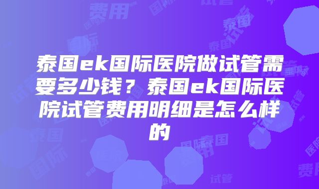 泰国ek国际医院做试管需要多少钱?泰国ek国际医院试管费用明细是怎么样的