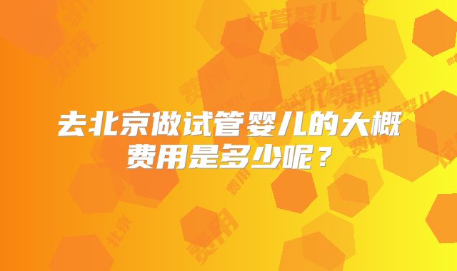 去北京做试管婴儿的大概费用是多少呢？