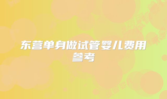东营单身做试管婴儿费用参考