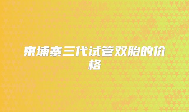 柬埔寨三代试管双胎的价格