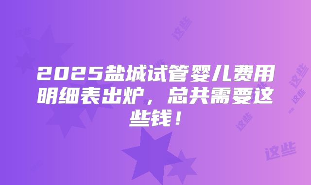 2025盐城试管婴儿费用明细表出炉，总共需要这些钱！