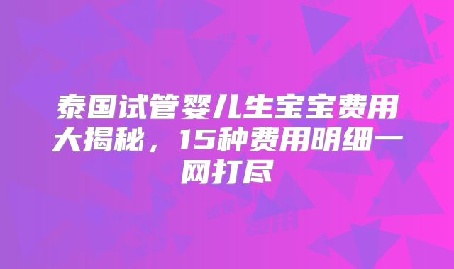 泰国试管婴儿生宝宝费用大揭秘，15种费用明细一网打尽