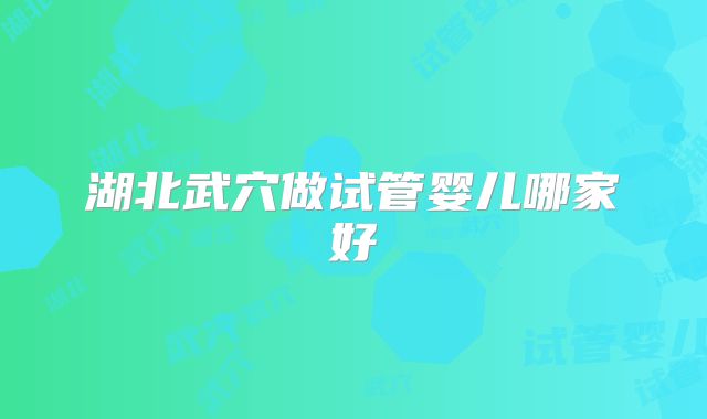 湖北武穴做试管婴儿哪家好