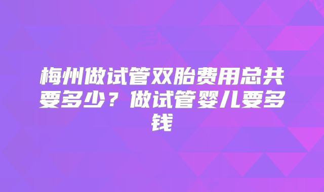 梅州做试管双胎费用总共要多少？做试管婴儿要多钱