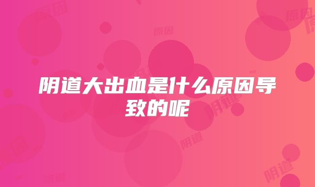 阴道大出血是什么原因导致的呢
