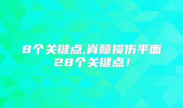 8个关键点,脊髓损伤平面28个关键点!