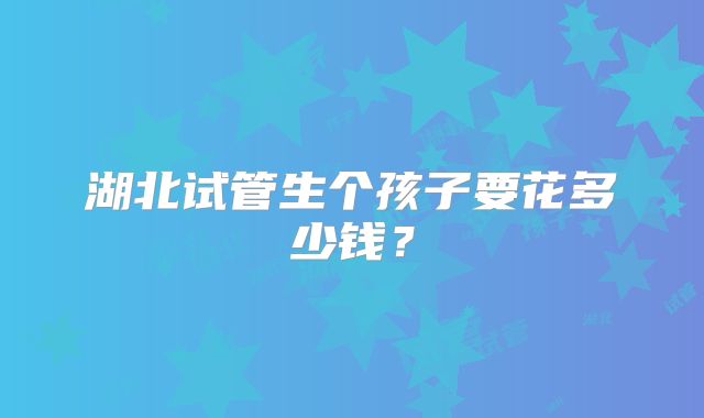 湖北试管生个孩子要花多少钱？