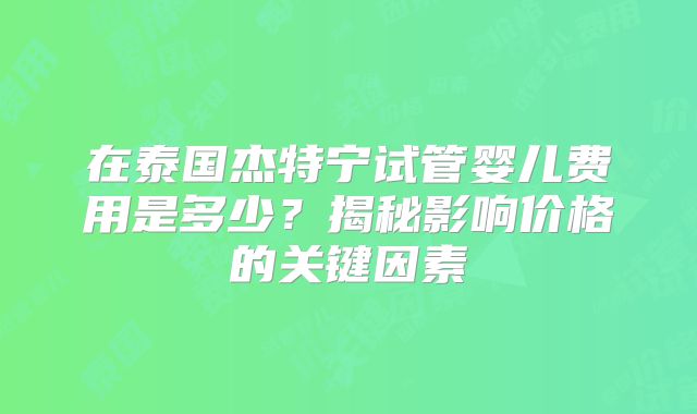 在泰国杰特宁试管婴儿费用是多少？揭秘影响价格的关键因素