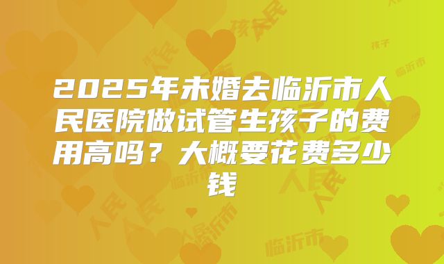 2025年未婚去临沂市人民医院做试管生孩子的费用高吗？大概要花费多少钱