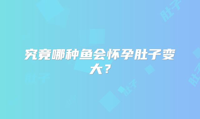 究竟哪种鱼会怀孕肚子变大？