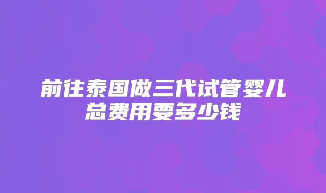 前往泰国做三代试管婴儿总费用要多少钱