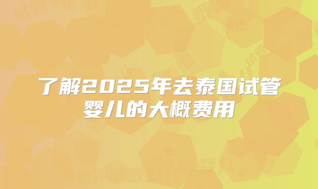 了解2025年去泰国试管婴儿的大概费用