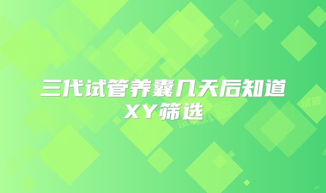 三代试管养囊几天后知道XY筛选