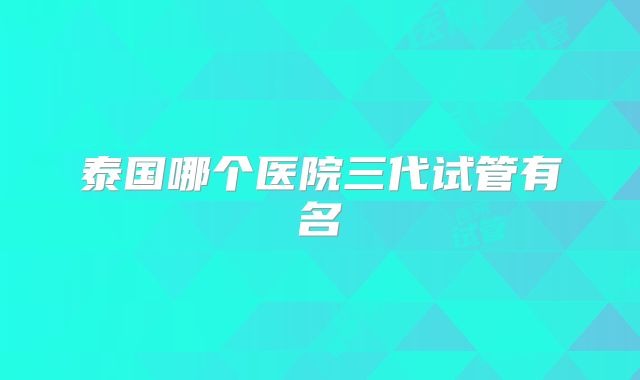 泰国哪个医院三代试管有名
