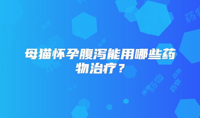 母猫怀孕腹泻能用哪些药物治疗?