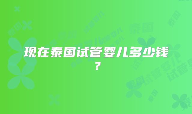 现在泰国试管婴儿多少钱？
