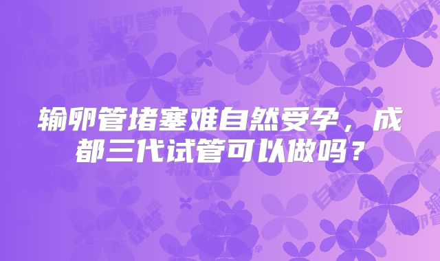 输卵管堵塞难自然受孕,成都三代试管可以做吗?