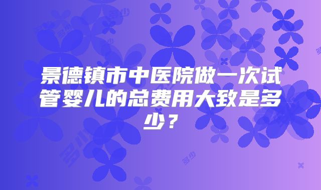 景德镇市中医院做一次试管婴儿的总费用大致是多少？