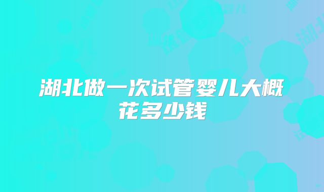 湖北做一次试管婴儿大概花多少钱