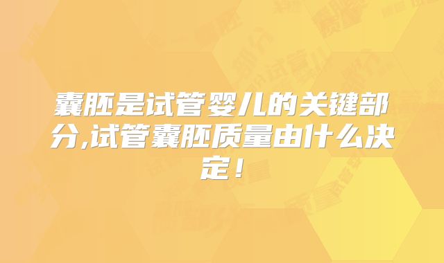囊胚是试管婴儿的关键部分,试管囊胚质量由什么决定!