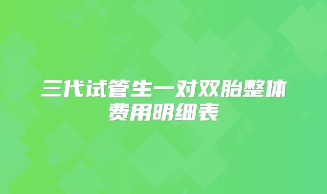 三代试管生一对双胎整体费用明细表