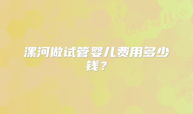 漯河做试管婴儿费用多少钱？