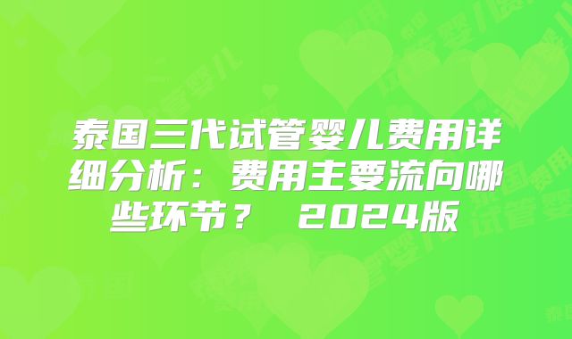 泰国三代试管婴儿费用详细分析:费用主要流向哪些环节? 2024版
