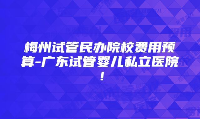 梅州试管民办院校费用预算-广东试管婴儿私立医院！