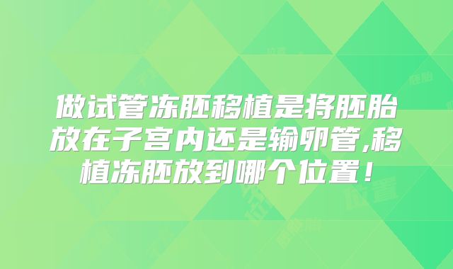 做试管冻胚移植是将胚胎放在子宫内还是输卵管,移植冻胚放到哪个位置!