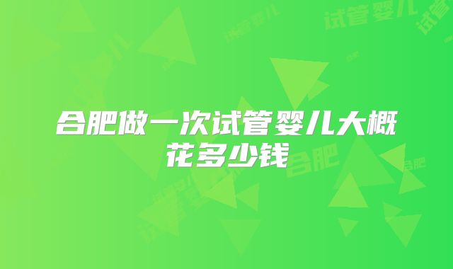 合肥做一次试管婴儿大概花多少钱