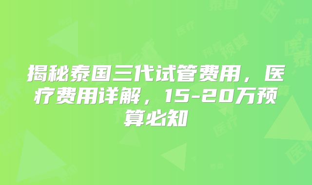 揭秘泰国三代试管费用，医疗费用详解，15-20万预算必知