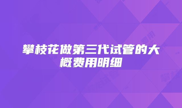 攀枝花做第三代试管的大概费用明细